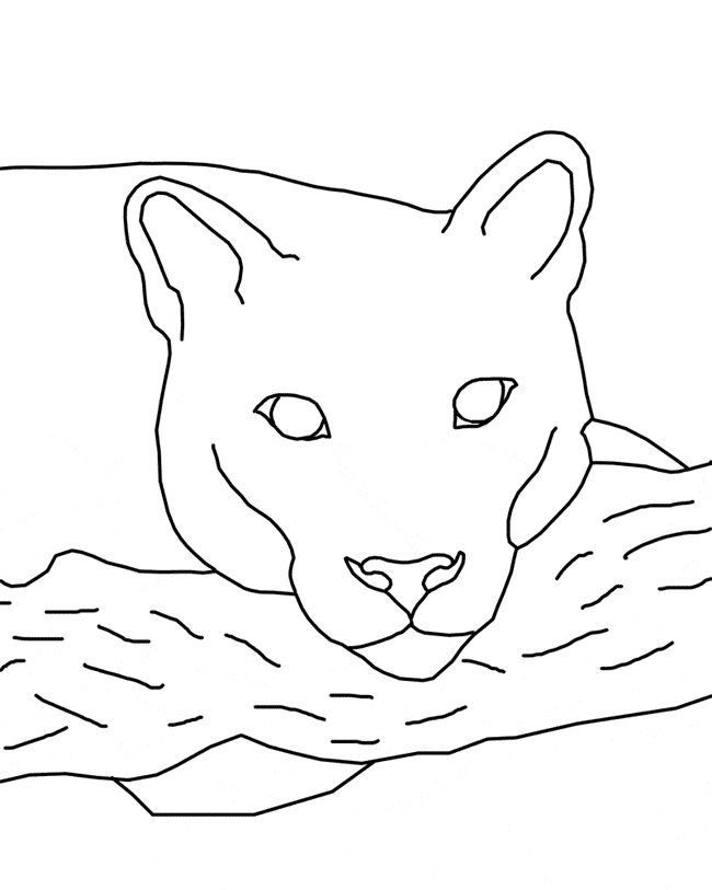 650x813 Eastern Cougar Coloring Page