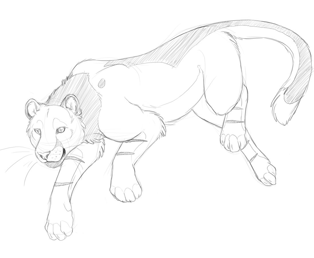 1096x902 Remote Control Cougar By Bear Hybrid