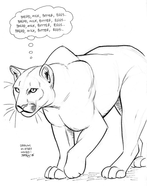 513x648 Cougar Walk By Dustmeat