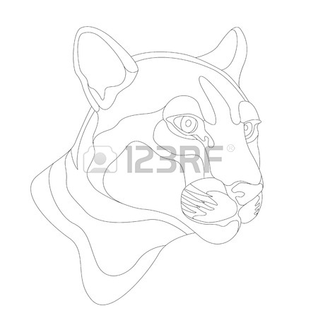 450x450 Cougar Mountain Lion Head Vector Illustration Royalty Free