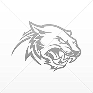 300x300 Decals Decal Panther Cougar Head Decoration Bike