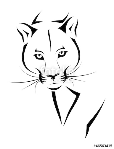 385x500 Cougar Tattoo Stock Image And Royalty Free Vector Files