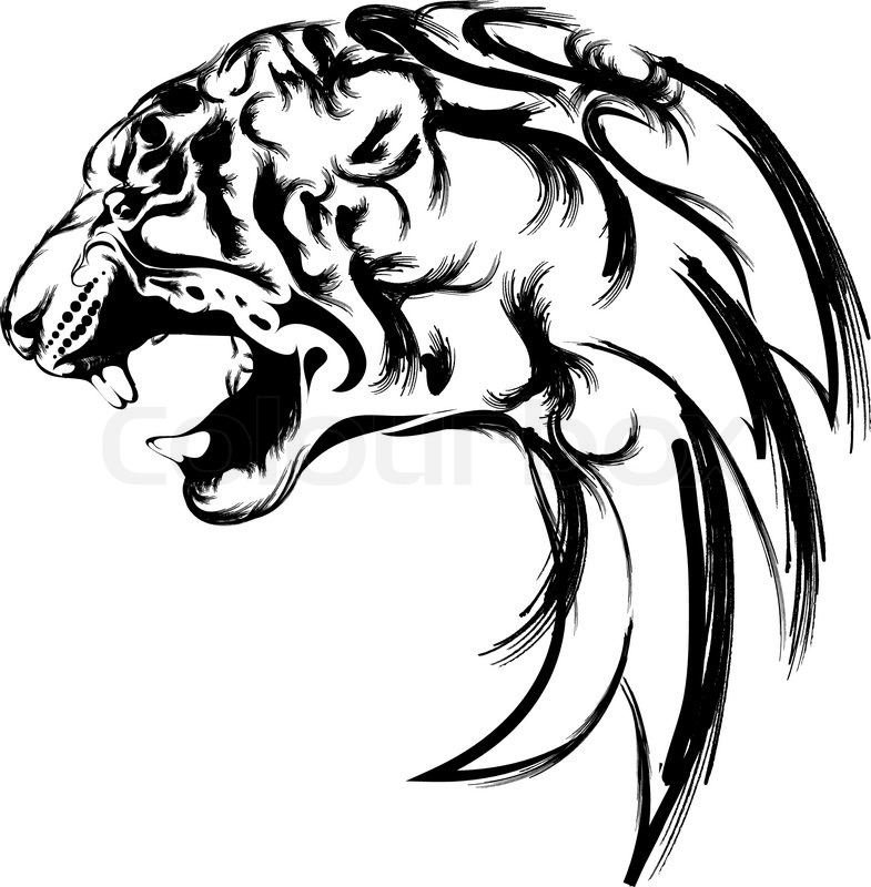 785x800 Tiger Head For Logo , Tattoo Or Icon Stock Vector Colourbox