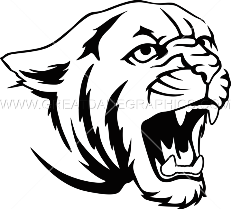 800x724 Cougar Head Clip Art