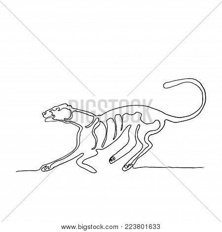 450x470 Cougar Images, Illustrations, Vectors