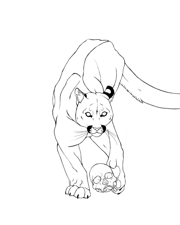 600x750 Cougar Line Art By Nhaar