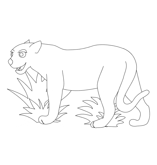 600x630 Eastern Cougar Coloring Page