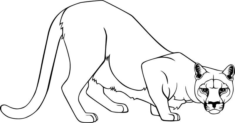 800x420 School Cheers Lovetoknow