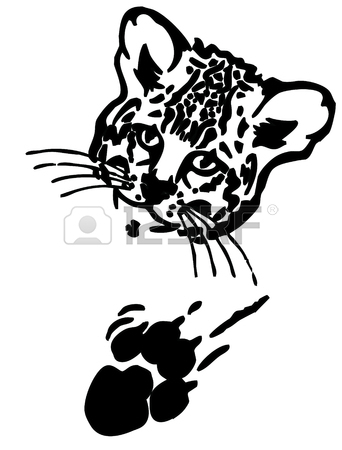 342x450 Leopard Puma Or Jaguar Face Realistic Graphics With Print