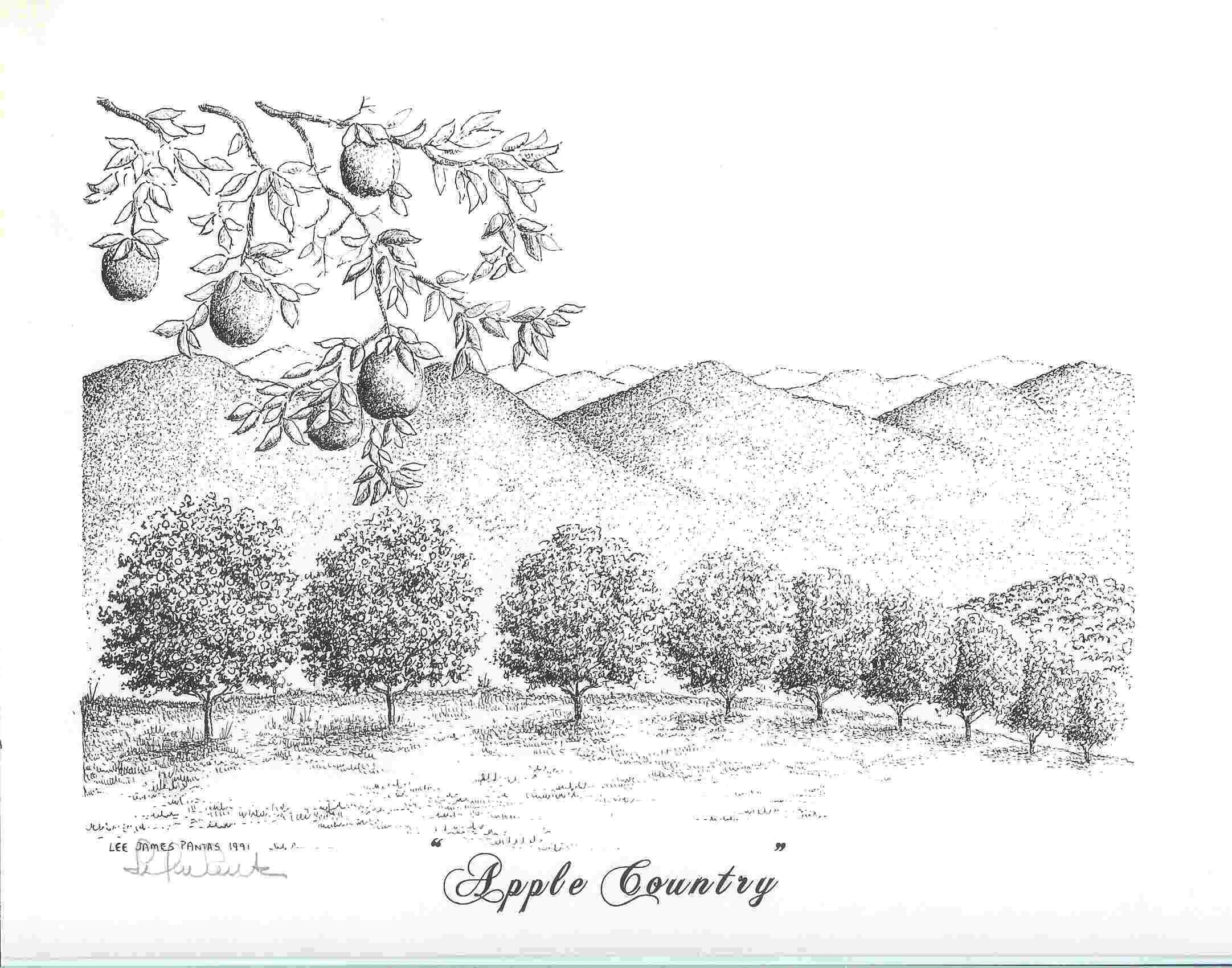 2163x1700 Hen10 Details