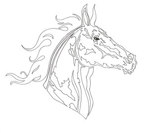 300x271 Horse Country Drawings