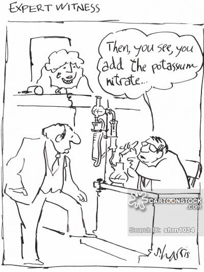 400x533 Expert Witnesses Cartoons And Comics