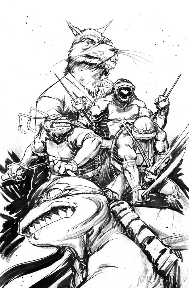 659x1000 Tmnt Cover 2 By Dan Duncan