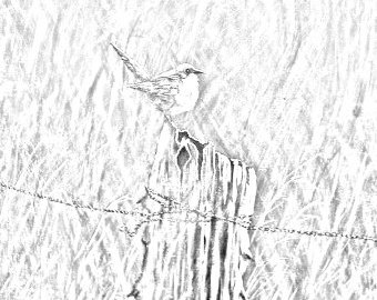 340x270 The Covered Bridge Country And Landsape Downloadable Adult