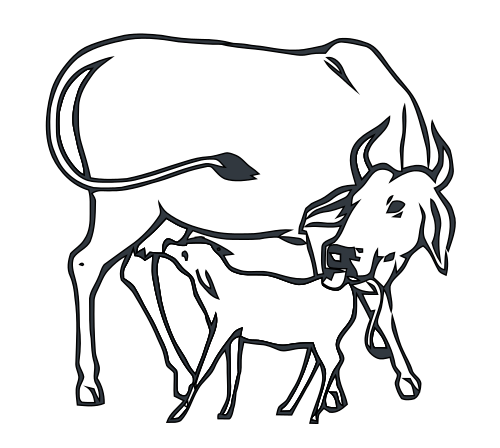 500x448 Filecow And Calf Inc.svg