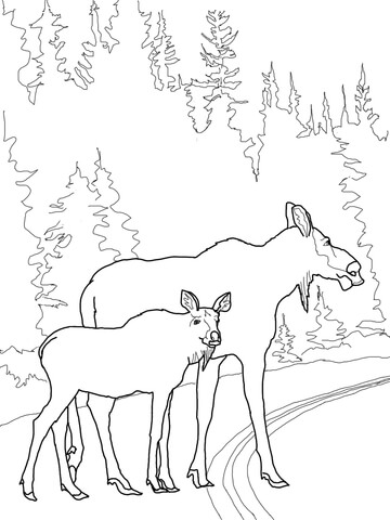360x480 Moose Cow With Calf Crossing The Road Coloring Page Free