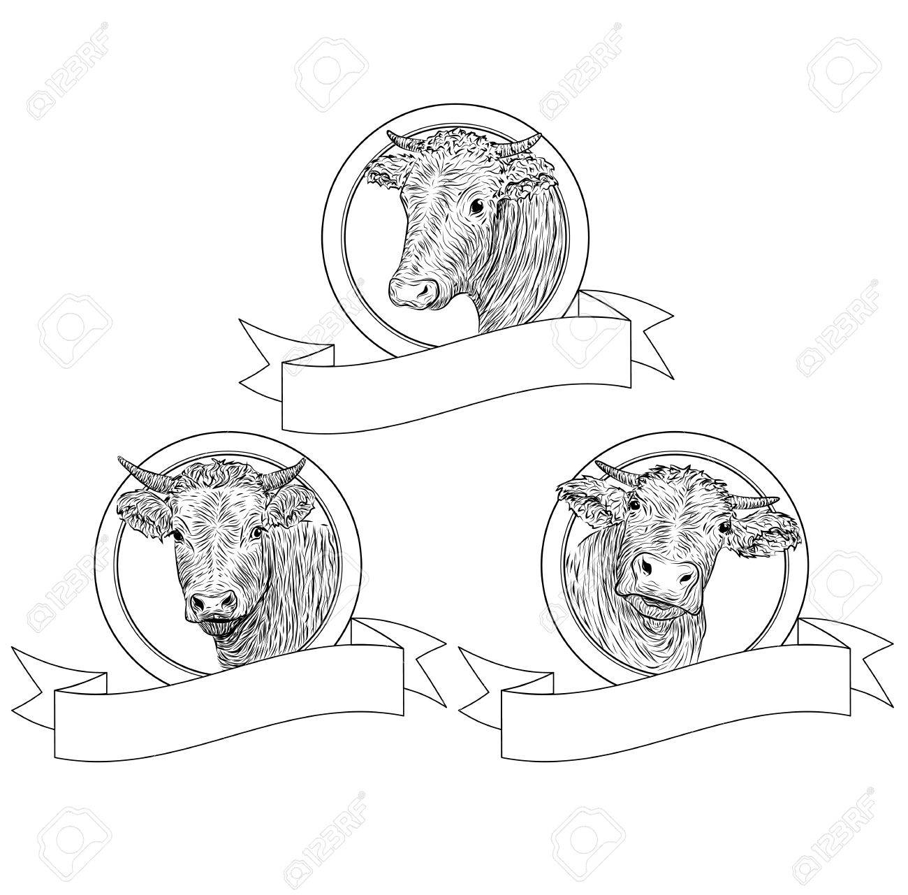 1300x1281 Cow, Calf, Bull Cute Muzzle Face Set Collection Variation Sticker