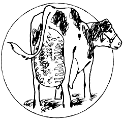 244x235 Raising Cattle Complications After Birth