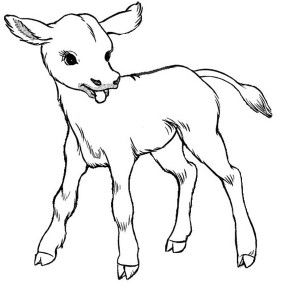 300x300 The Best Cow Coloring Pages Ideas On Free Easter