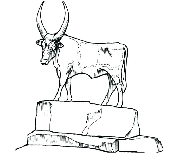 684x590 Golden Calf Coloring Page