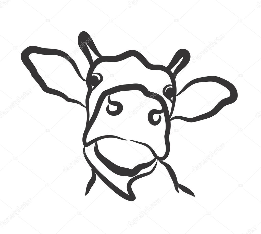 1023x917 Drawing Of Cow Head. Stock Photo Designer