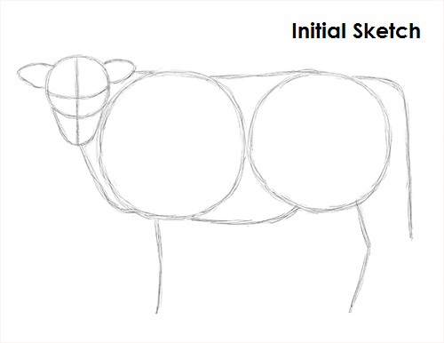 500x386 How To Draw A Cow