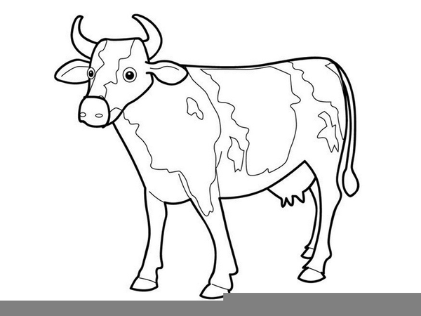 600x450 Cow Drawing Outline Free Images