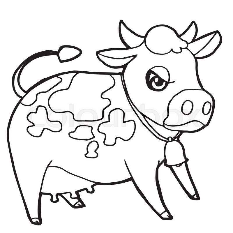 800x800 Cartoon Cute Cattle Or Cow Coloring Page Vector Illustration