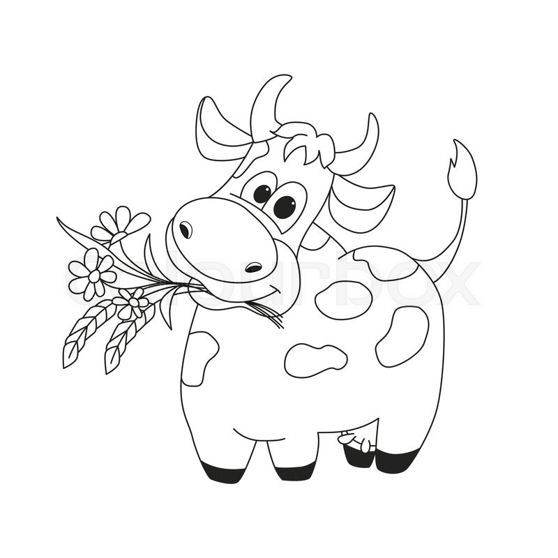 800x800 Outline Illustration Of Cute Cow With Flowers. Cartoon Outline