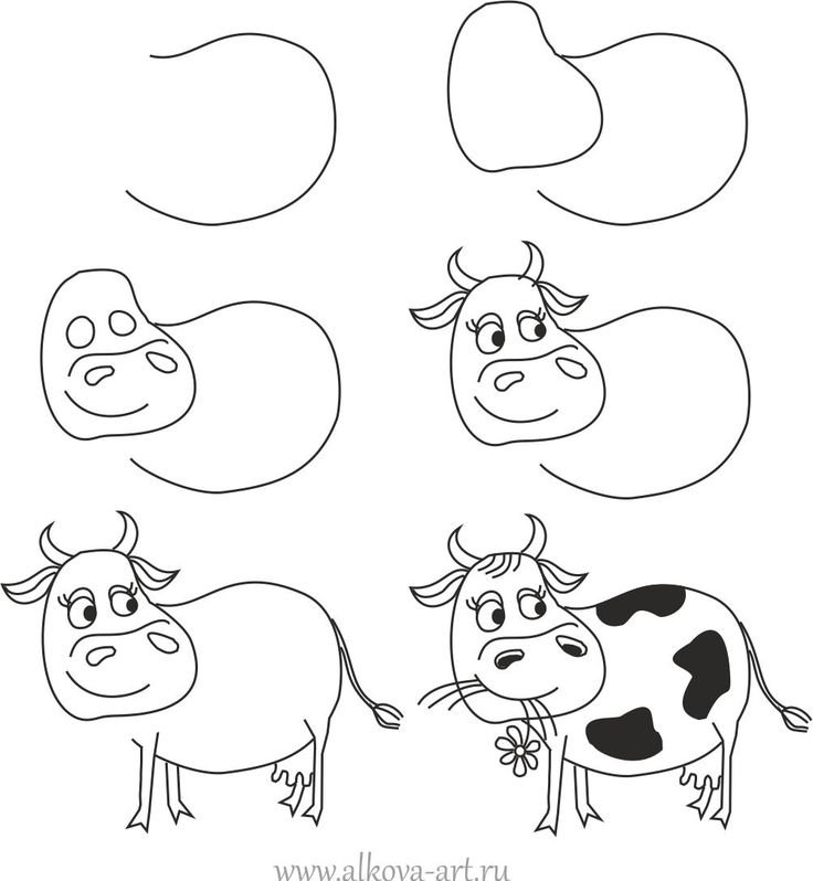 736x798 How To Draw A Cartoon Cow