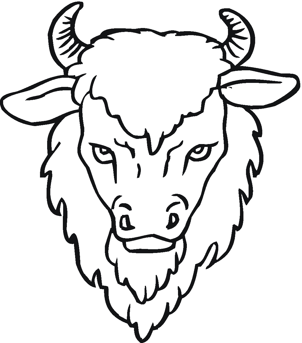1057x1200 Drawing How Draw A Buffalo Skull Step By Step Also How
