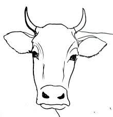 220x229 Image Result For Step By Step Cow Drawing Face How To Painting