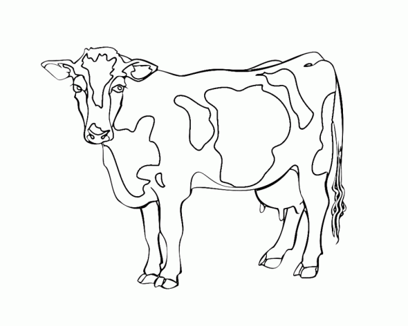 The best free Dairy drawing images. Download from 106 free drawings of ...