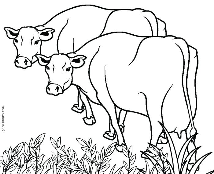 700x567 Cow Coloring Page Cute Little Cow Coloring Page Coloring Pages