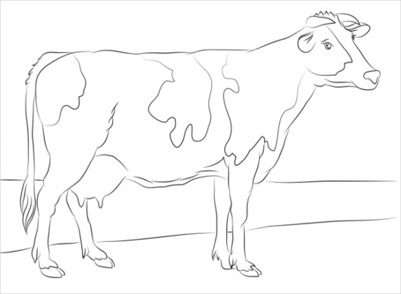 585x429 Drawn Cow For Kid Pdf
