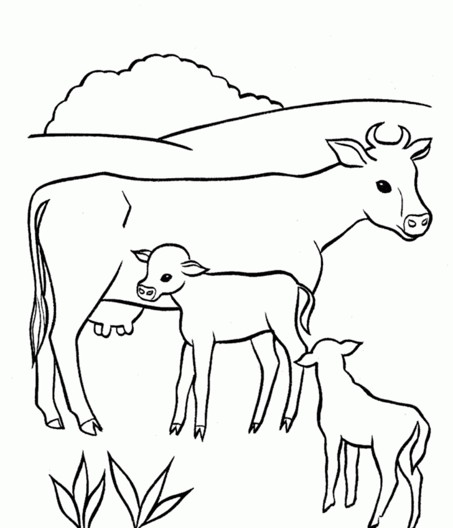918x1070 Free Animal Cow Coloring Pages For Kids