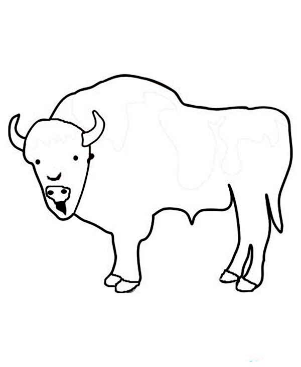 600x733 Kids Drawing Of A Bison Coloring Page Color Luna