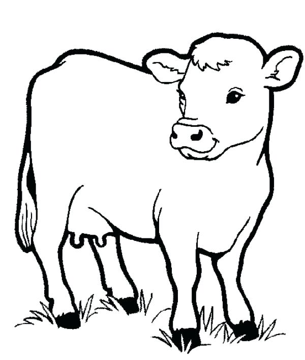 600x707 Printable Coloring Pages For Kids Animals Healthy Milch Cow