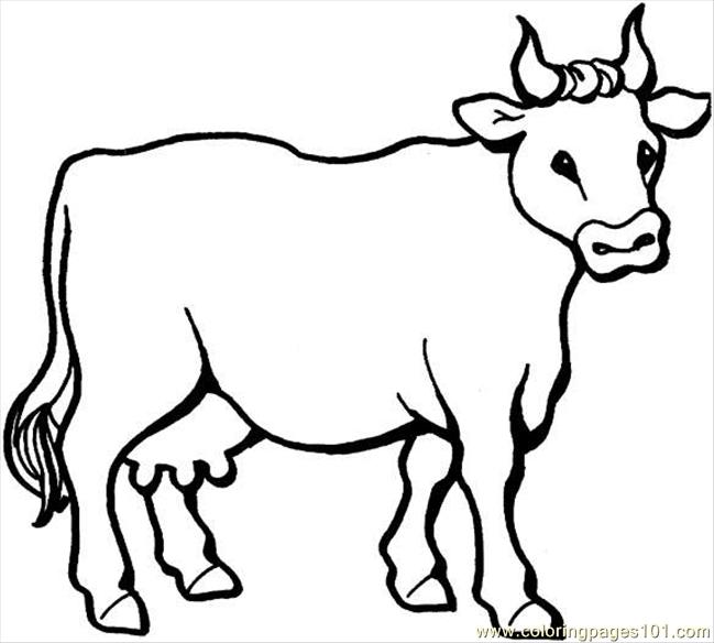 649x584 Cow Coloring Page