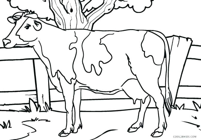 671x466 Cow Coloring Page 29 As Well As Coloring Pages Thanksgiving S00