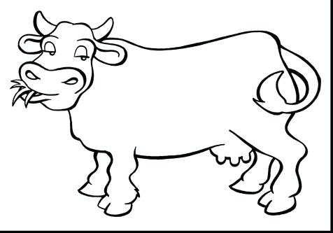 476x333 Best Of Cow Coloring Page Images Coloring Page Coloring Pages