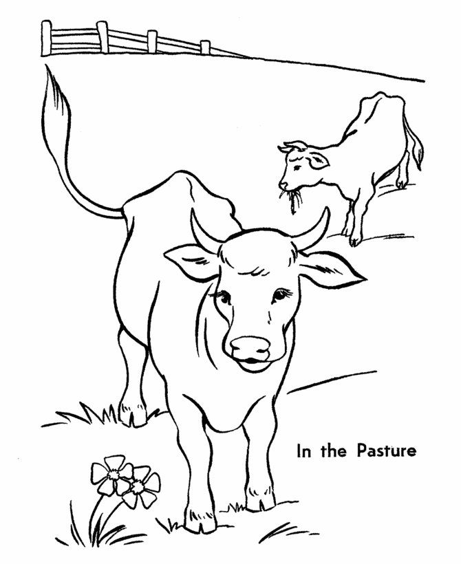 670x820 Printable Pictures Of Cows