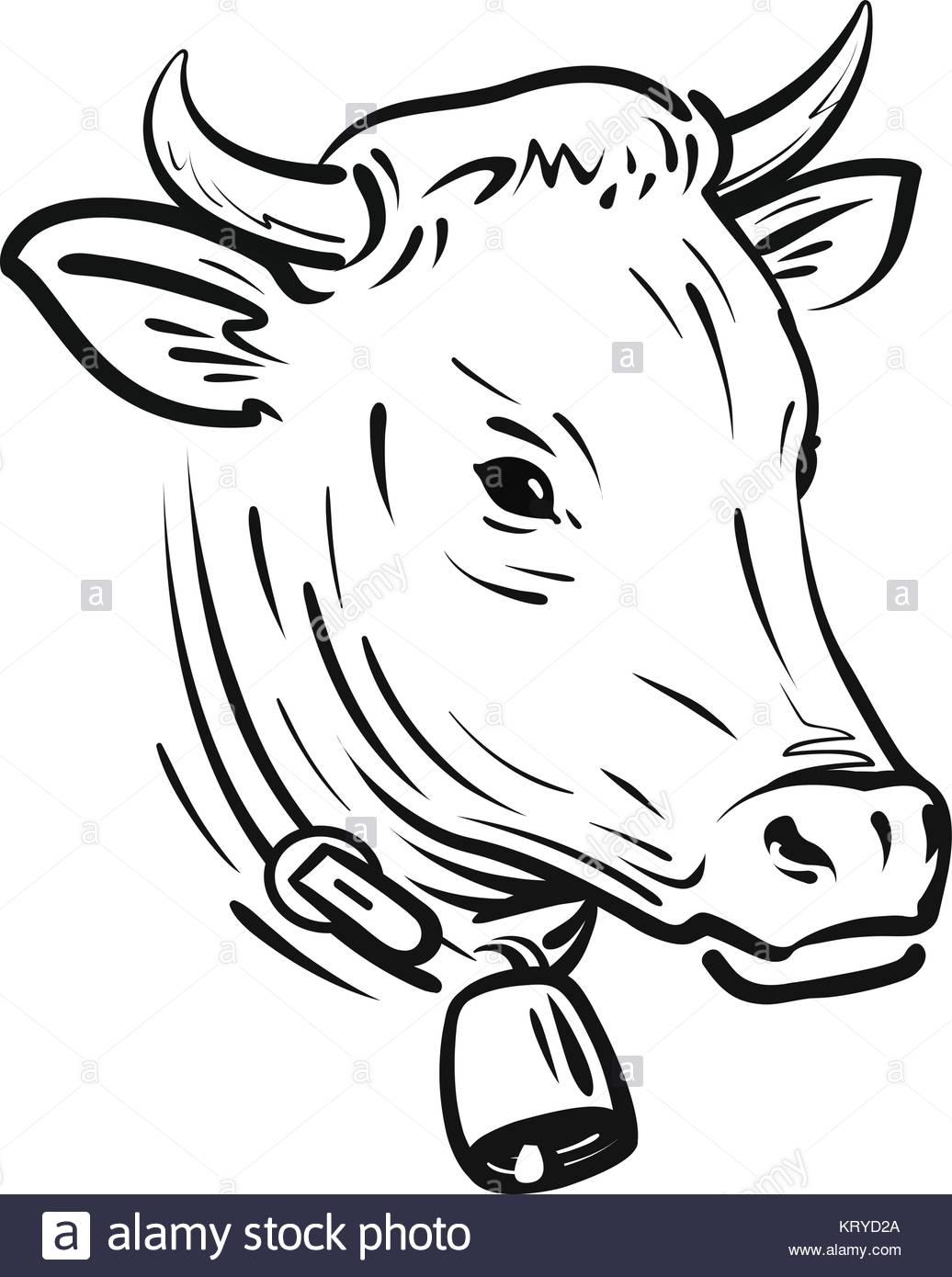 1036x1390 Cow With Bell, Sketch. Farm Animal, Vector Illustration Stock