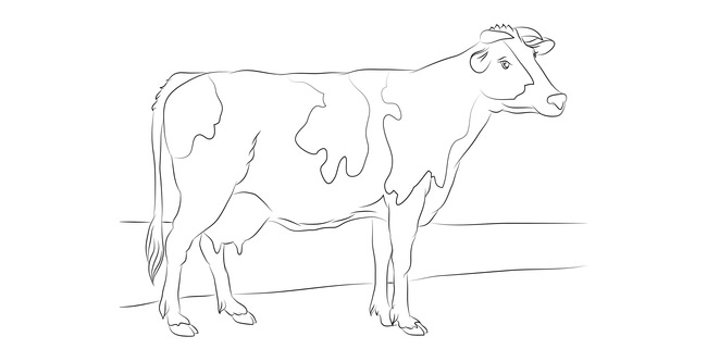 Cow Drawing Outline at GetDrawings | Free download