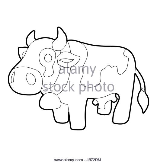 520x540 Beef Cow Black And White Stock Photos Amp Images