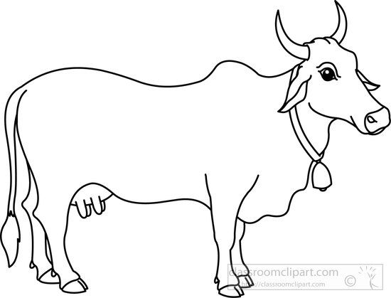 550x419 Cow Sketch Drawing Cute Cow Drawing