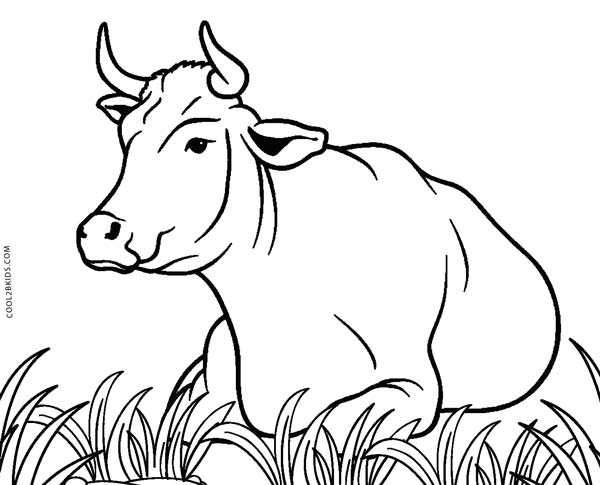 600x485 Free Printable Cow Coloring Pages For Kids Cool2bkids