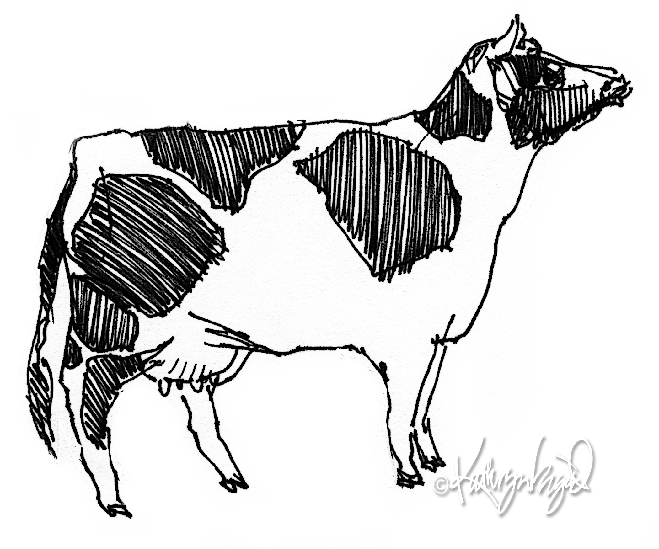 2100x1750 Adult Drawing Of A Cow Drawing Of A Cowboy Hat. Drawing Of A Cow