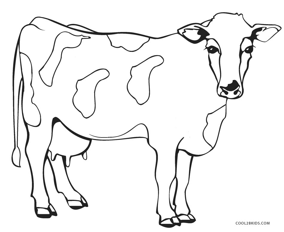 950x778 Cow Coloring Pages For Pretty Draw Page Kids Coloring Pages