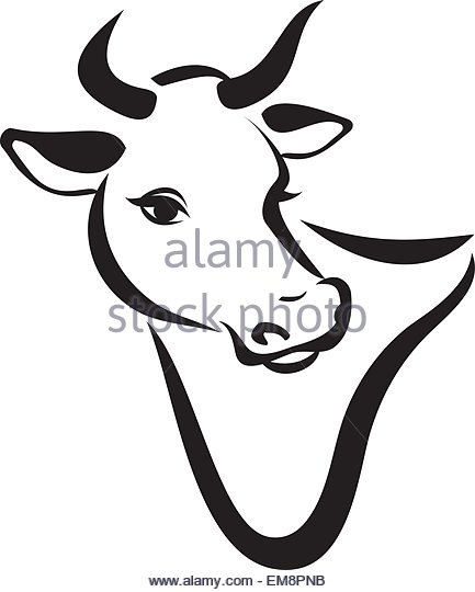 433x540 Drawing Of A Cow